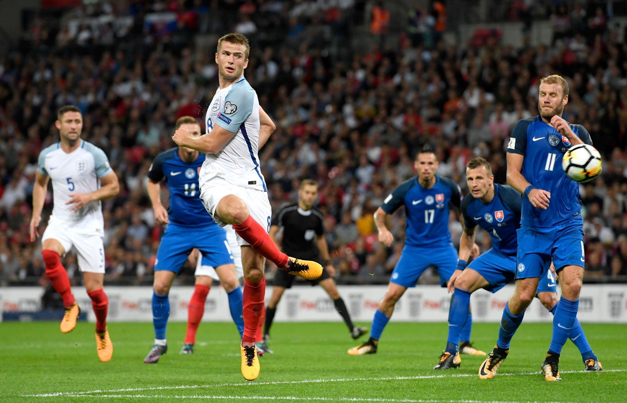 主任李金强 主任李金强